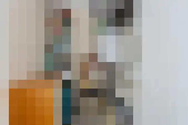Oliemolen 40 Gemert thumbnail 28