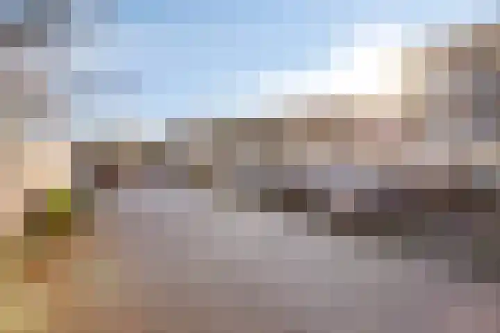 Oliemolen 40 Gemert thumbnail 32