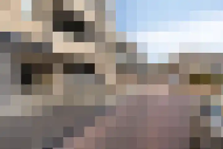 Oliemolen 40 Gemert thumbnail 6