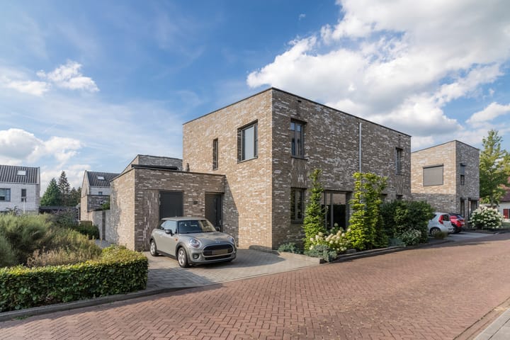 Oliemolen 5 in Gemert foto