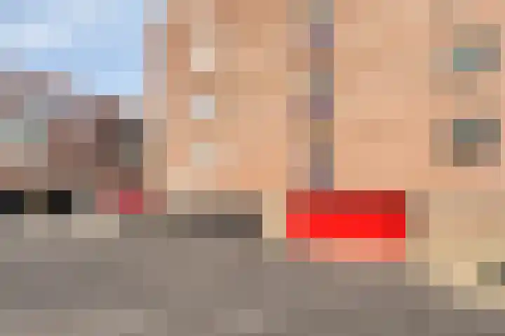 Oliemolen 5 Gemert