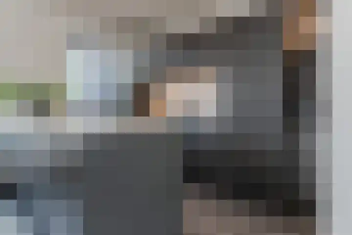 Oliemolen 5 Gemert thumbnail 10
