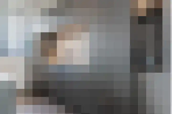 Oliemolen 5 Gemert thumbnail 11