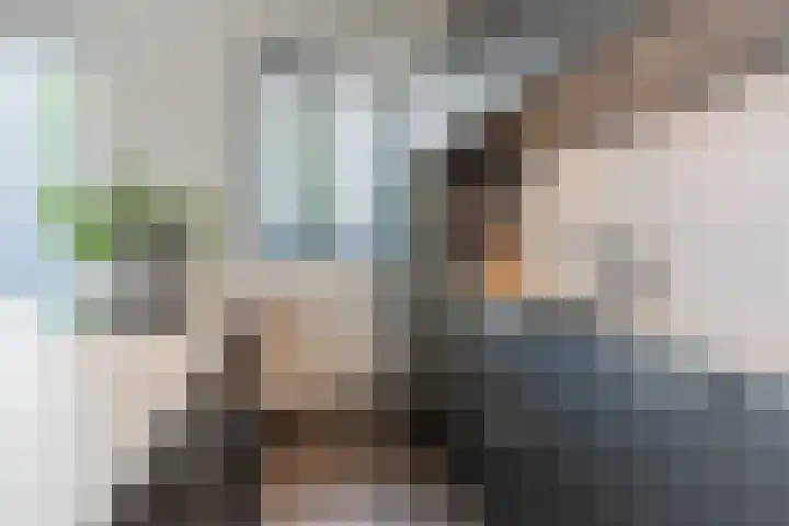 Oliemolen 5 Gemert thumbnail 13