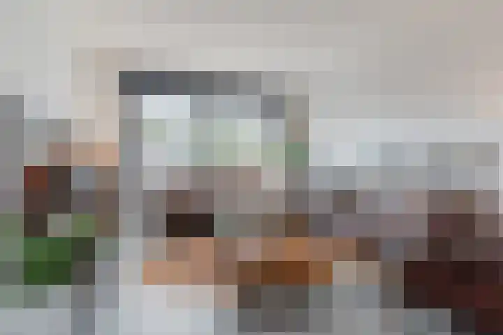 Oliemolen 5 Gemert thumbnail 16