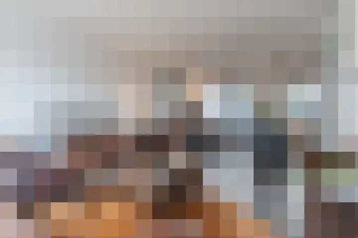Oliemolen 5 Gemert thumbnail 17