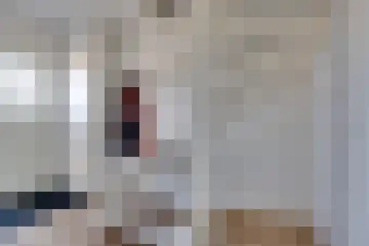 Oliemolen 5 Gemert thumbnail 19