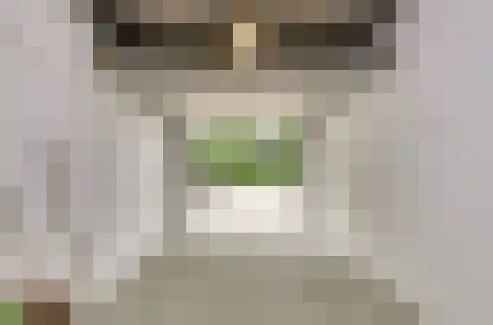Oliemolen 5 Gemert thumbnail 21
