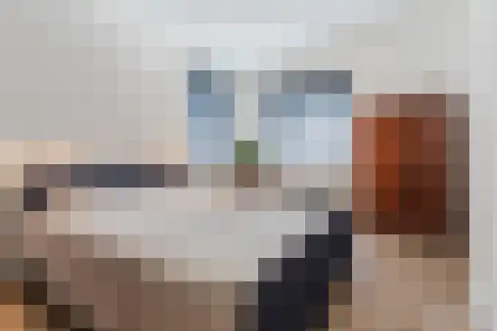 Oliemolen 5 Gemert thumbnail 26