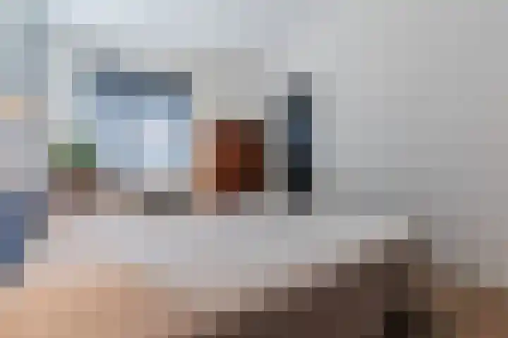 Oliemolen 5 Gemert thumbnail 27