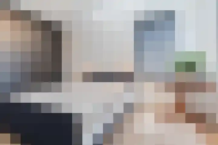 Oliemolen 5 Gemert thumbnail 28