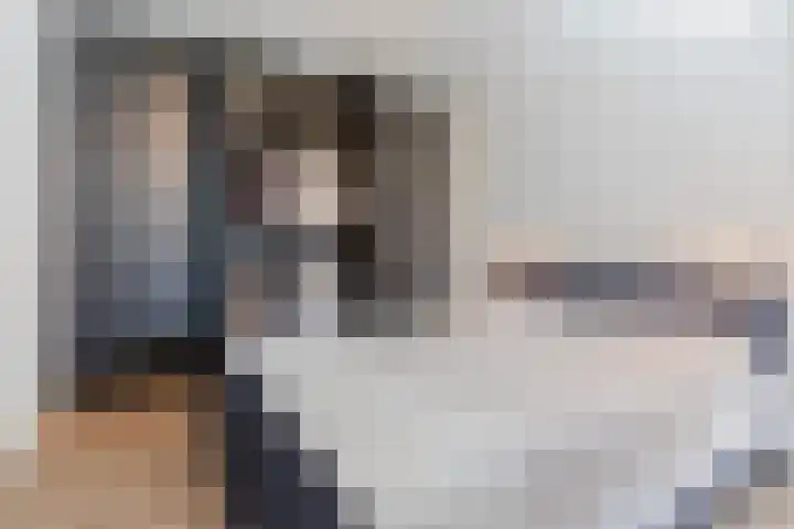 Oliemolen 5 Gemert thumbnail 30