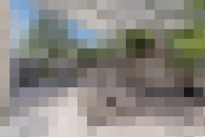 Oliemolen 5 Gemert thumbnail 36