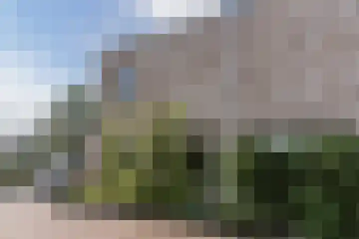 Oliemolen 5 Gemert thumbnail 38