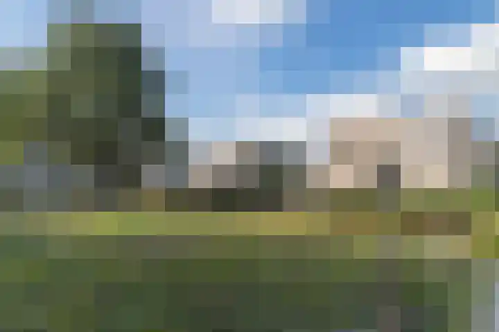Oliemolen 5 Gemert thumbnail 40