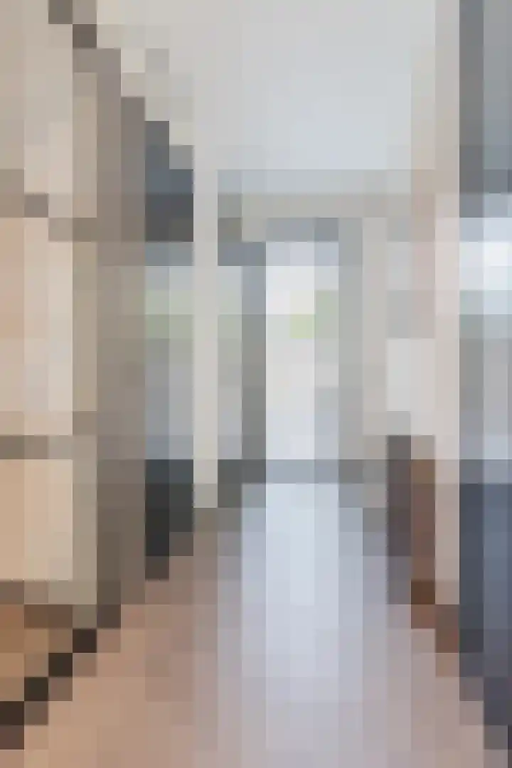 Oliemolen 5 Gemert thumbnail 7