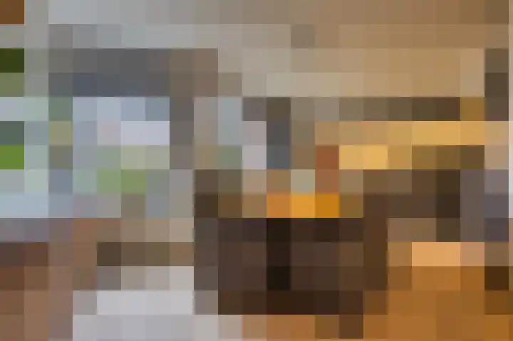 Oliemolen 64 Hoorn thumbnail 14