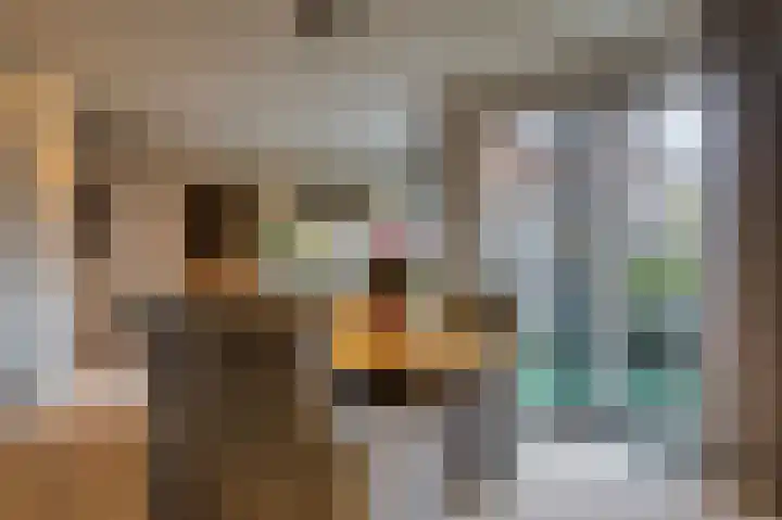 Oliemolen 64 Hoorn thumbnail 15