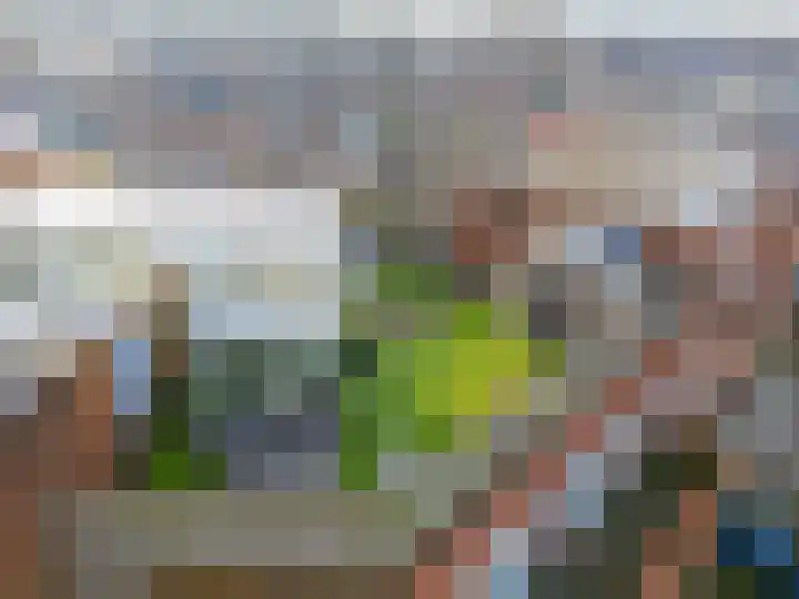 Oliemolen 64 Hoorn thumbnail 23
