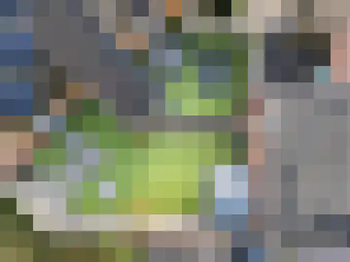 Oliemolen 64 Hoorn thumbnail 4