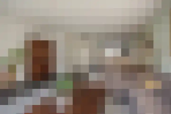 Oliemolen 7 Delft thumbnail 10