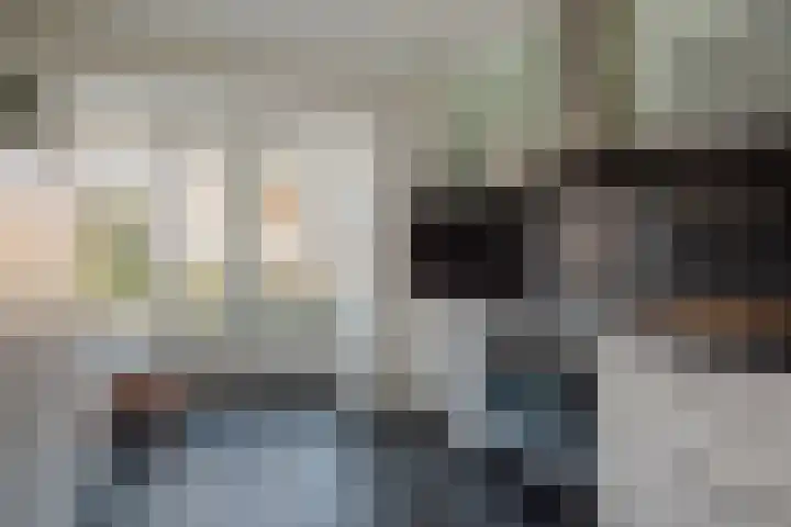 Oliemolen 7 Delft thumbnail 12