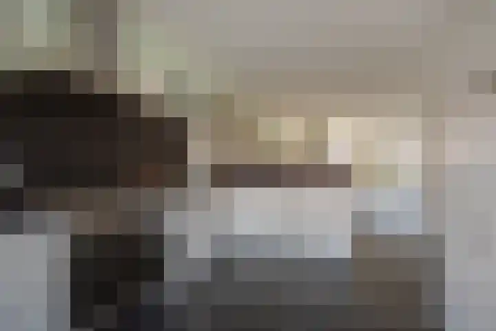 Oliemolen 7 Delft thumbnail 13