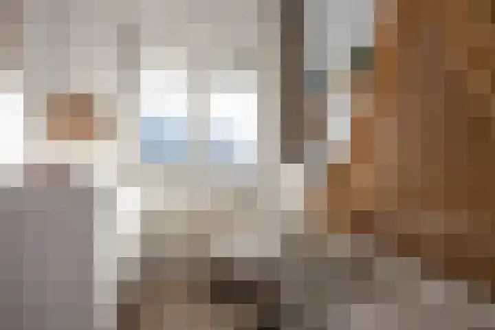 Oliemolen 7 Delft thumbnail 23