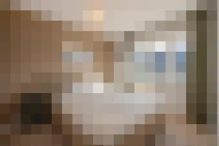 Oliemolen 7 Delft thumbnail 24