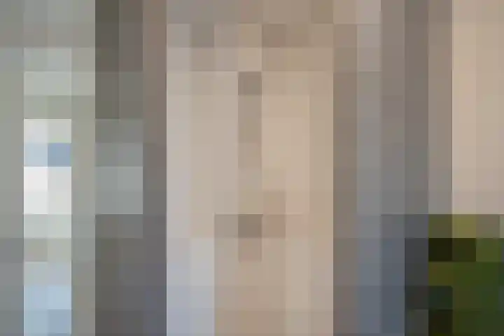 Oliemolen 7 Delft thumbnail 31