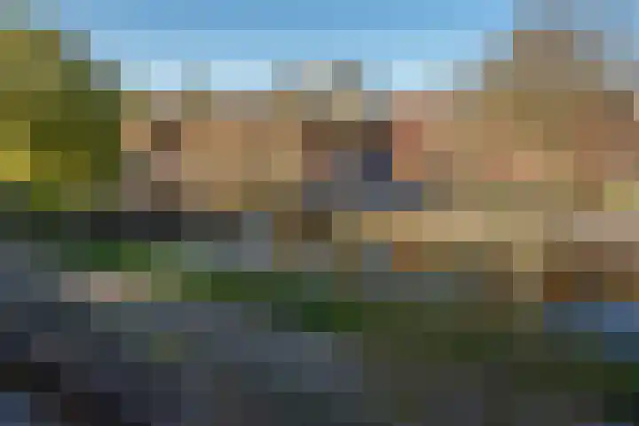 Oliemolen 7 Delft thumbnail 38