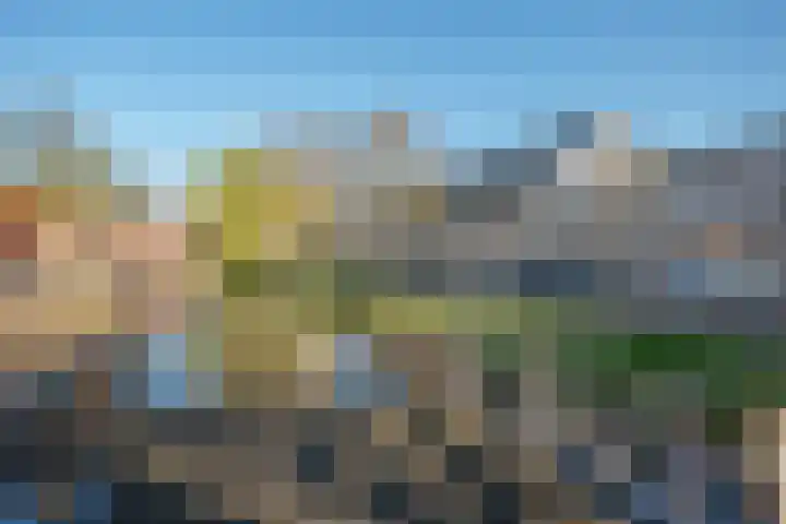 Oliemolen 7 Delft thumbnail 39