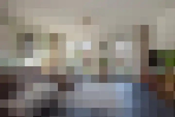 Oliemolen 7 Delft thumbnail 7