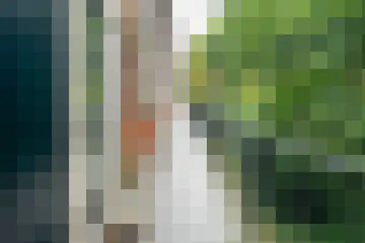 Oliemolensingel 250 Enschede thumbnail 14