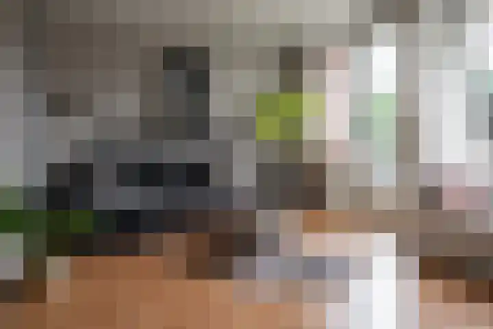 Oliemolensingel 250 Enschede thumbnail 22