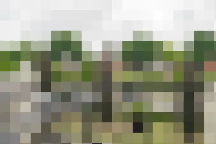 Oliemolensingel 250 Enschede thumbnail 27