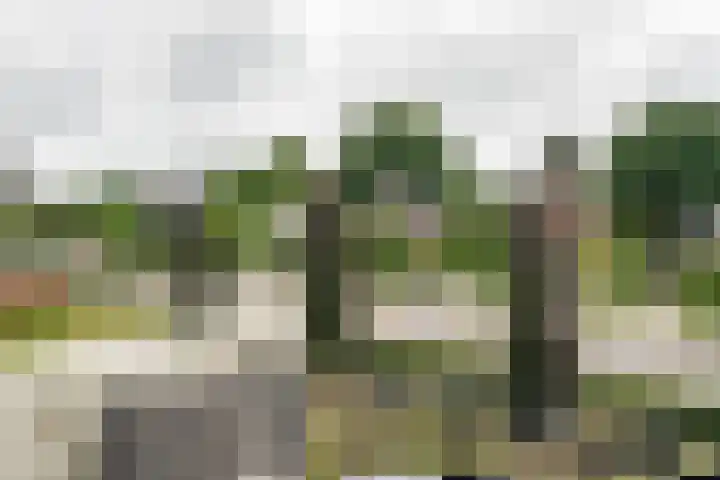 Oliemolensingel 250 Enschede thumbnail 28