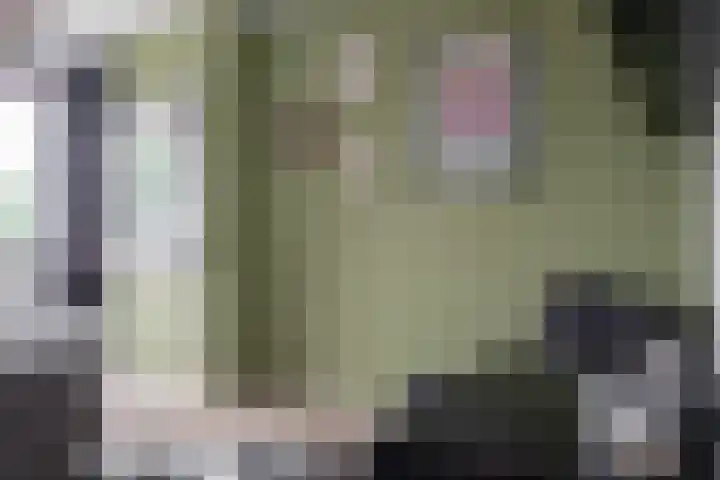 Oliemolensingel 250 Enschede thumbnail 33