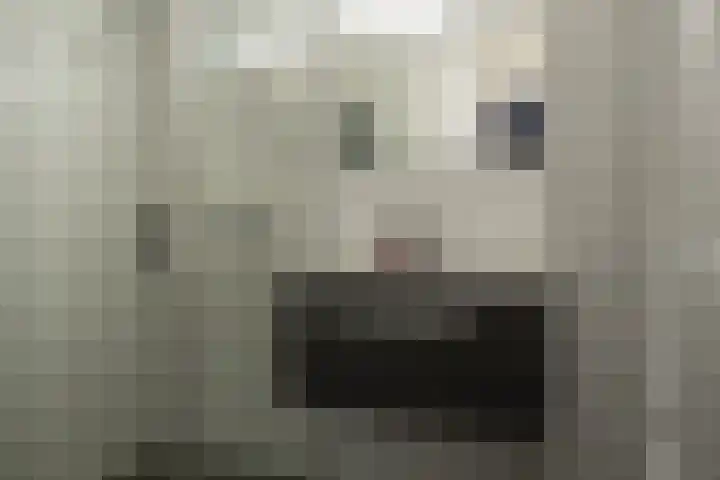 Oliemolensingel 250 Enschede thumbnail 4
