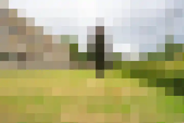 Oliemolensingel 250 Enschede thumbnail 7