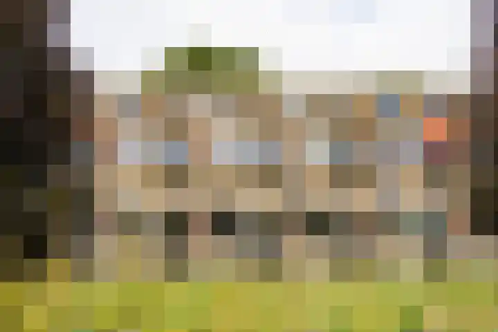 Oliemolensingel 250 Enschede thumbnail 9