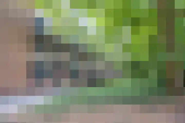 Oliemolensingel 256 Enschede thumbnail 31