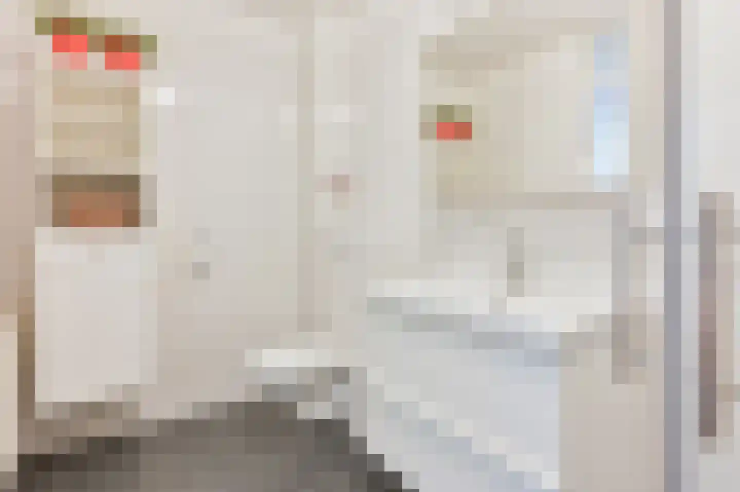 Olieslager 14 Leiderdorp thumbnail 23