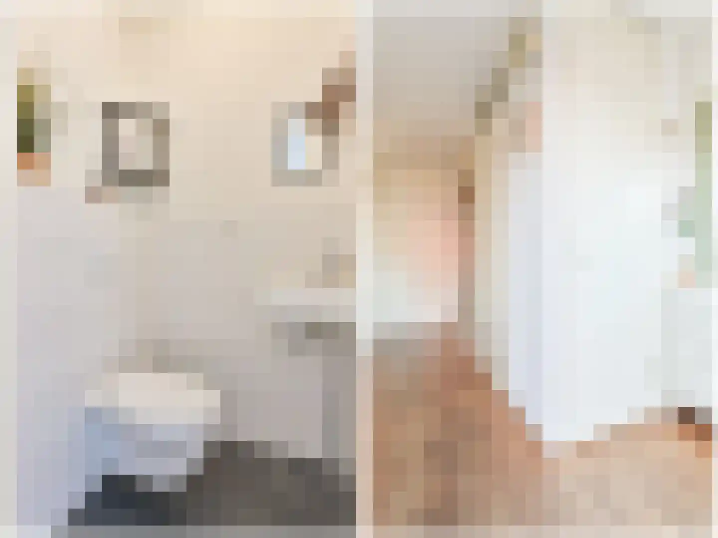 Olieslager 14 Leiderdorp thumbnail 9