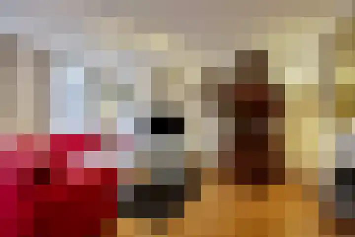Oliestraat 22 Grave thumbnail 18