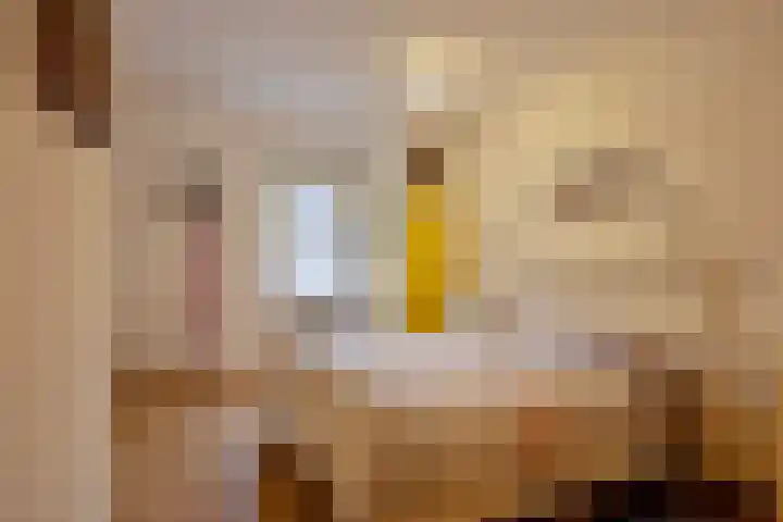 Oliestraat 22 Grave thumbnail 27