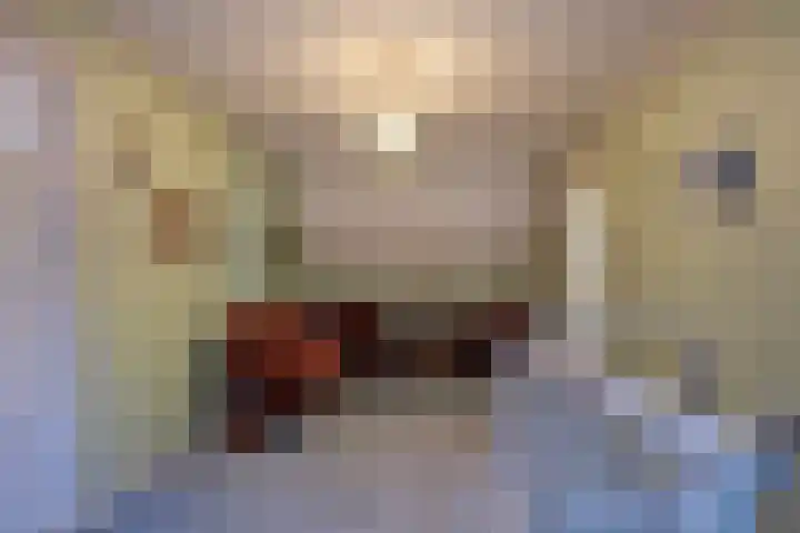 Oliestraat 22 Grave thumbnail 33
