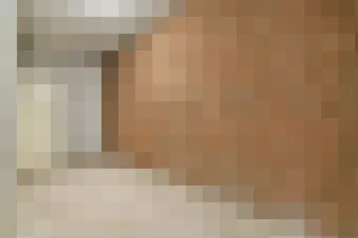 Olifantswerf 12 Amsterdam thumbnail 16