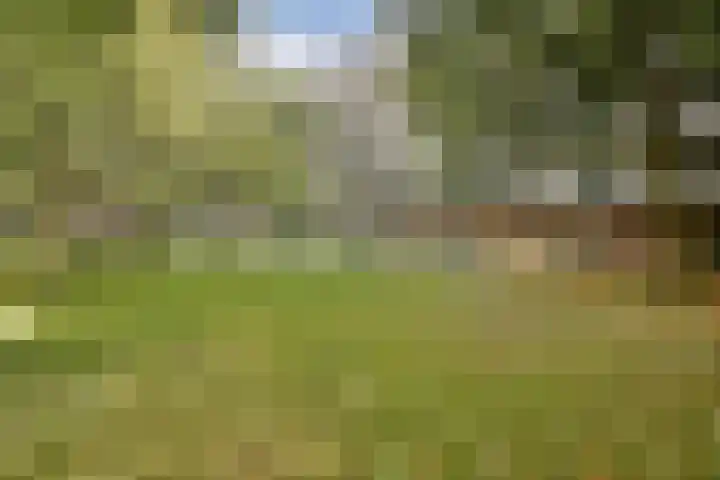 Olifantswerf 12 Amsterdam thumbnail 18