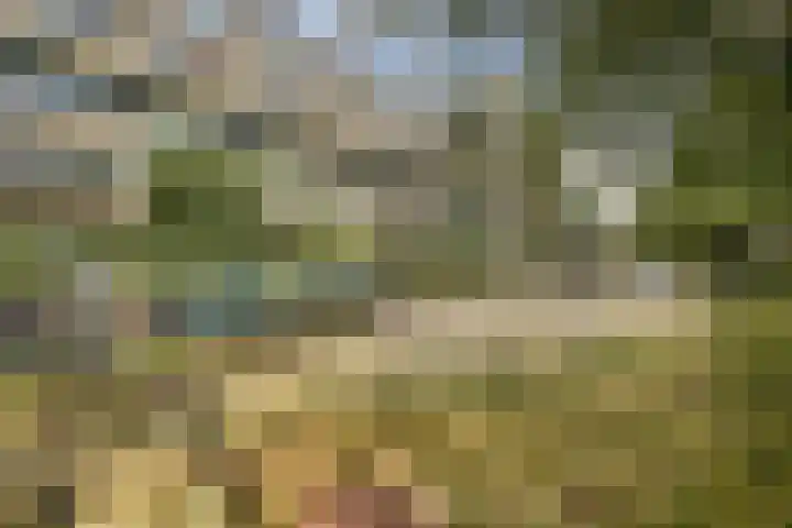 Olifantswerf 12 Amsterdam thumbnail 19